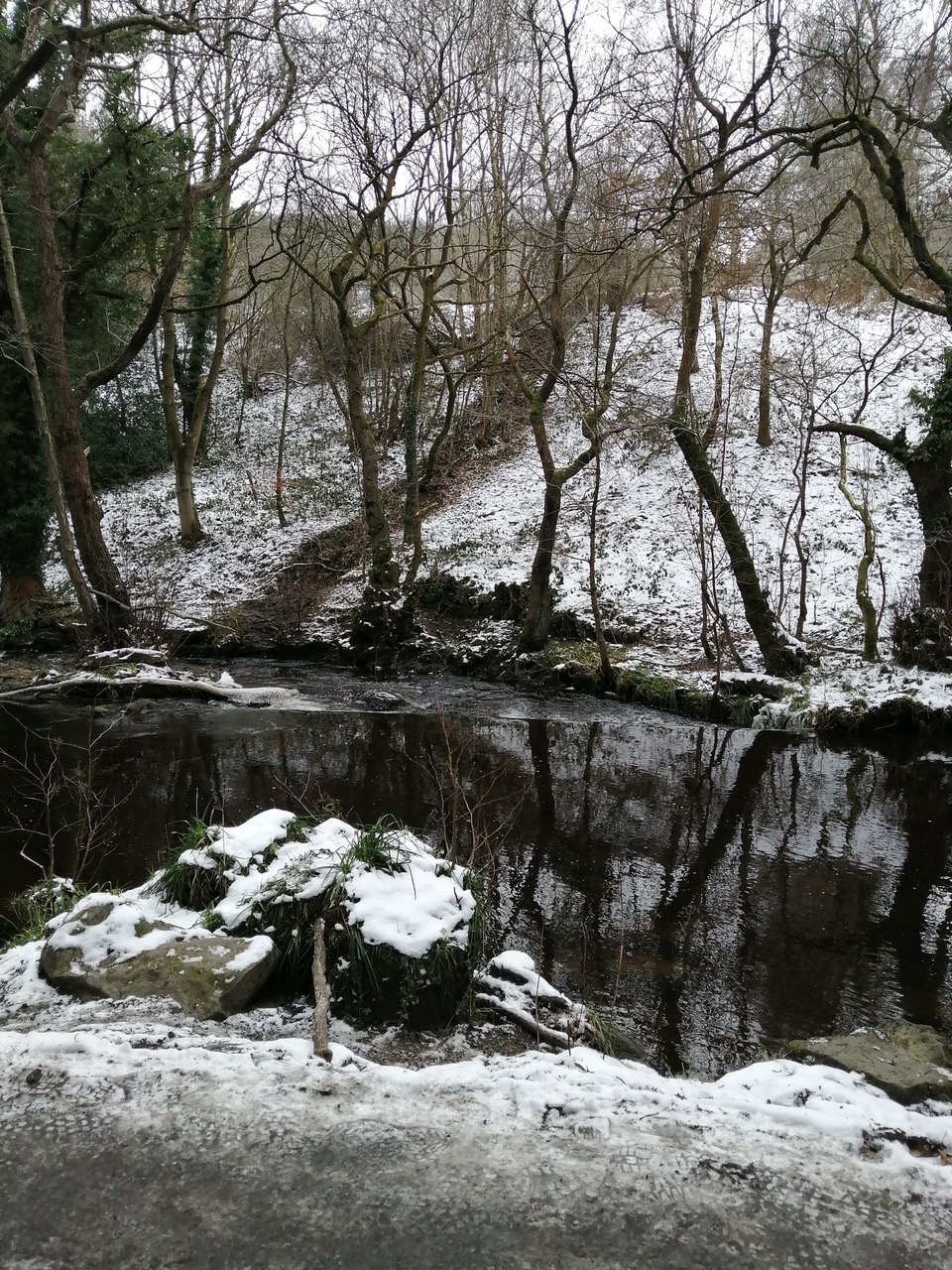 Fwd: Winter Rivelin 2021 by Vee Jay			
					</div><!-- .entry-content -->
		
		<footer>
		
		
		
					
					</footer><!-- .entry-meta -->
	</article><!-- #post -->
				
											
				
		
<hr class=