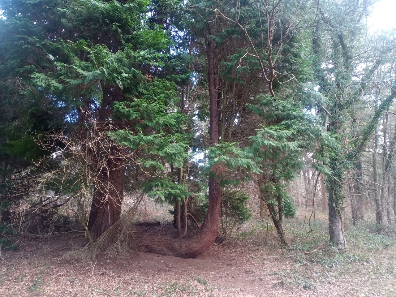 Fwd: Photograph by MFH			
					</div><!-- .entry-content -->
		
		<footer>
		
		
		
					
					</footer><!-- .entry-meta -->
	</article><!-- #post -->
				
											
				
		
<hr class=
