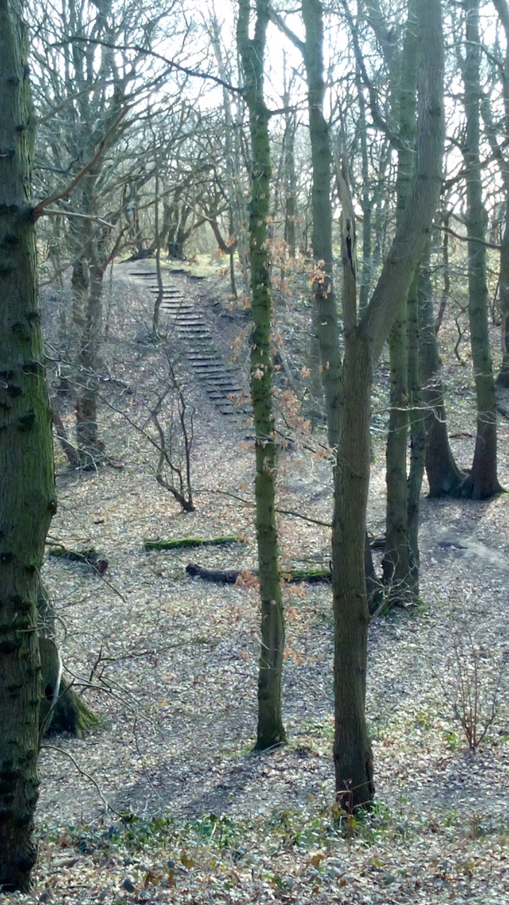 Fwd: Sarah Bark… Kings wood park bawtry			
					</div><!-- .entry-content -->
		
		<footer>
		
		
		
					
					</footer><!-- .entry-meta -->
	</article><!-- #post -->
				
											
				
		
<hr class=