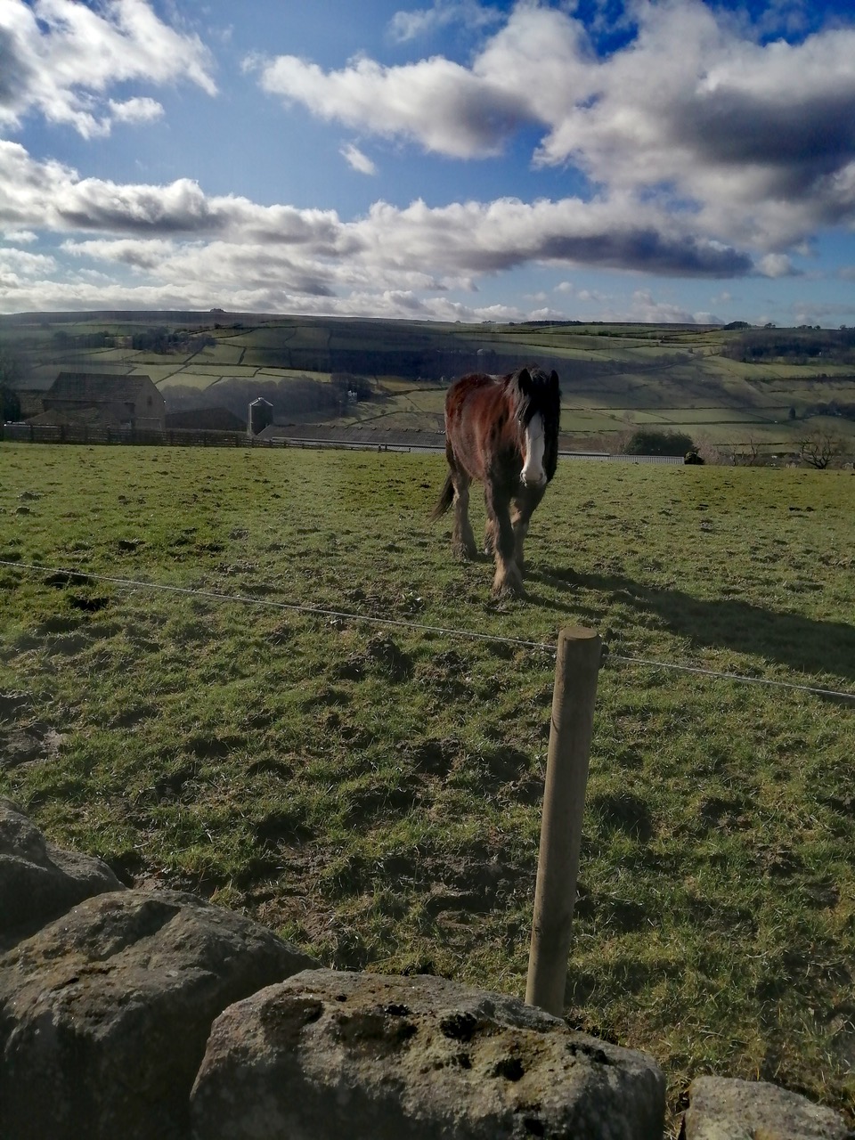 Fwd: Bradfield Brewery by Vee Jay			
					</div><!-- .entry-content -->
		
		<footer>
		
		
		
					
					</footer><!-- .entry-meta -->
	</article><!-- #post -->
				
											
				
		
<hr class=