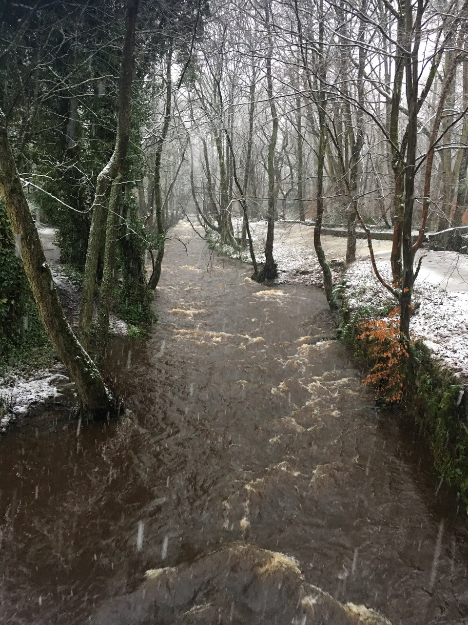 Fwd: Rivelin			
					</div><!-- .entry-content -->
		
		<footer>
		
		
		
					
					</footer><!-- .entry-meta -->
	</article><!-- #post -->
				
											
				
		
<hr class=