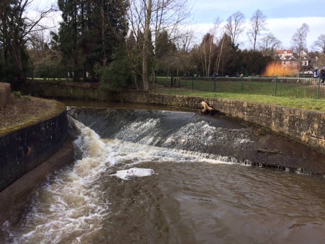 Fwd: Millhouses Park			
					</div><!-- .entry-content -->
		
		<footer>
		
		
		
					
					</footer><!-- .entry-meta -->
	</article><!-- #post -->
				
											
				
		
<hr class=