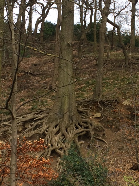 Fwd: Endcliffe park			
					</div><!-- .entry-content -->
		
		<footer>
		
		
		
					
					</footer><!-- .entry-meta -->
	</article><!-- #post -->
				
											
				
		
<hr class=