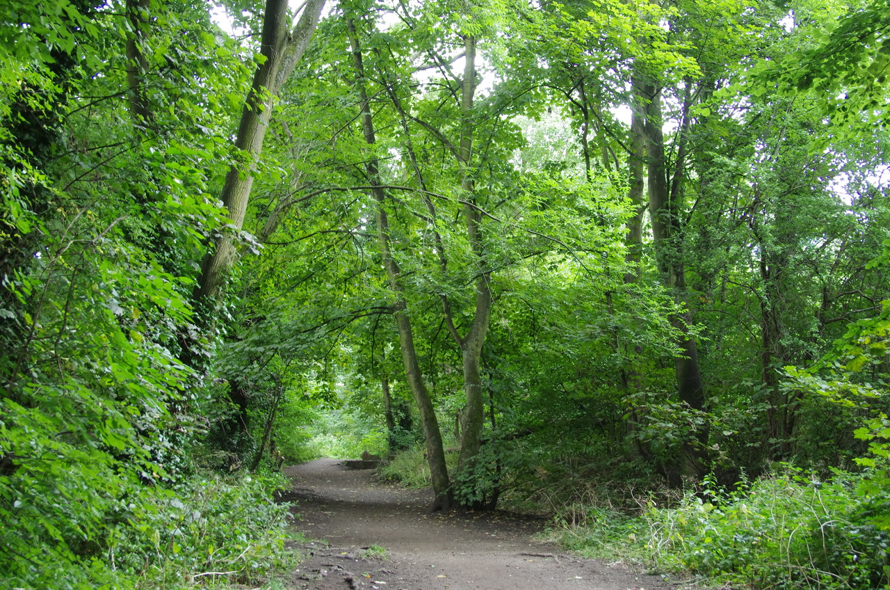 Fwd: Photo of Rivelin			
					</div><!-- .entry-content -->
		
		<footer>
		
		
		
					
					</footer><!-- .entry-meta -->
	</article><!-- #post -->
				
											
				
		
<hr class=