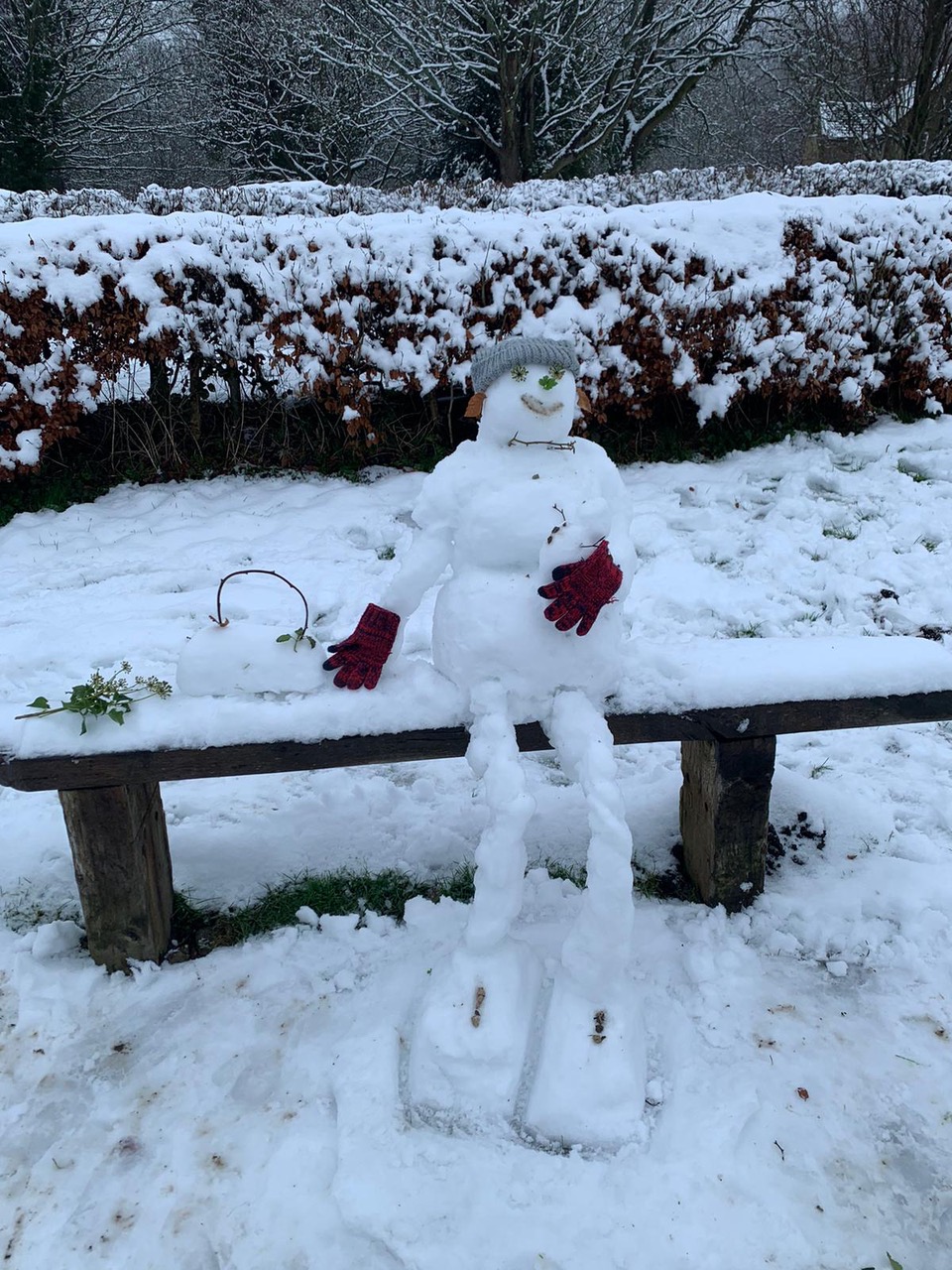Fwd: Snowoman and baby ⛄️			
					</div><!-- .entry-content -->
		
		<footer>
		
		
		
					
					</footer><!-- .entry-meta -->
	</article><!-- #post -->
				
											
				
		
<hr class=