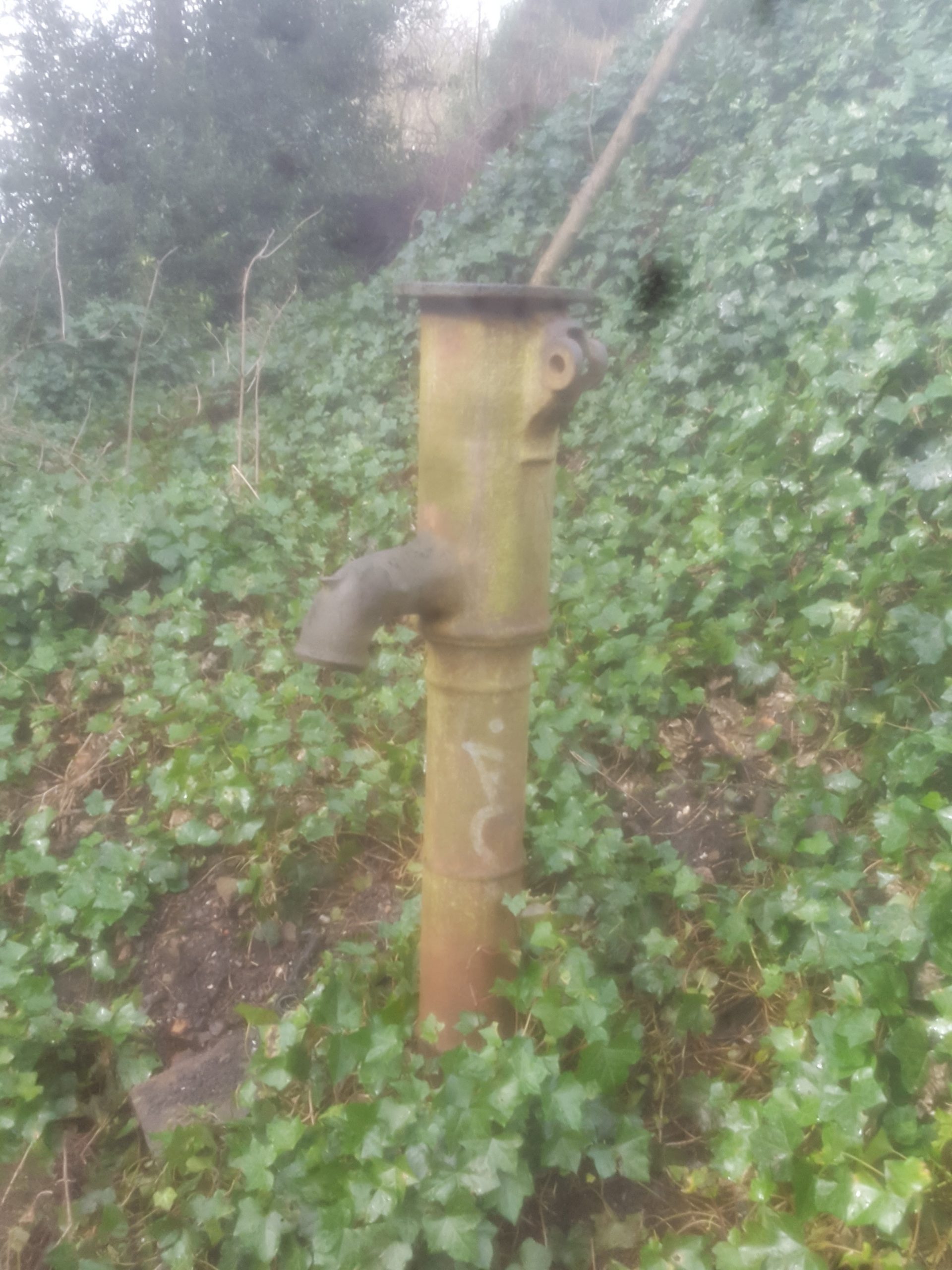 Fwd: Water pump cobnar graves park			
					</div><!-- .entry-content -->
		
		<footer>
		
		
		
					
					</footer><!-- .entry-meta -->
	</article><!-- #post -->
				
											
				
		
<hr class=