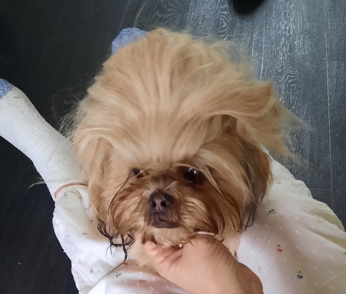 Fwd: Bad hairday by Kevin lees			
					</div><!-- .entry-content -->
		
		<footer>
		
		
		
					
					</footer><!-- .entry-meta -->
	</article><!-- #post -->
				
											
				
		
<hr class=