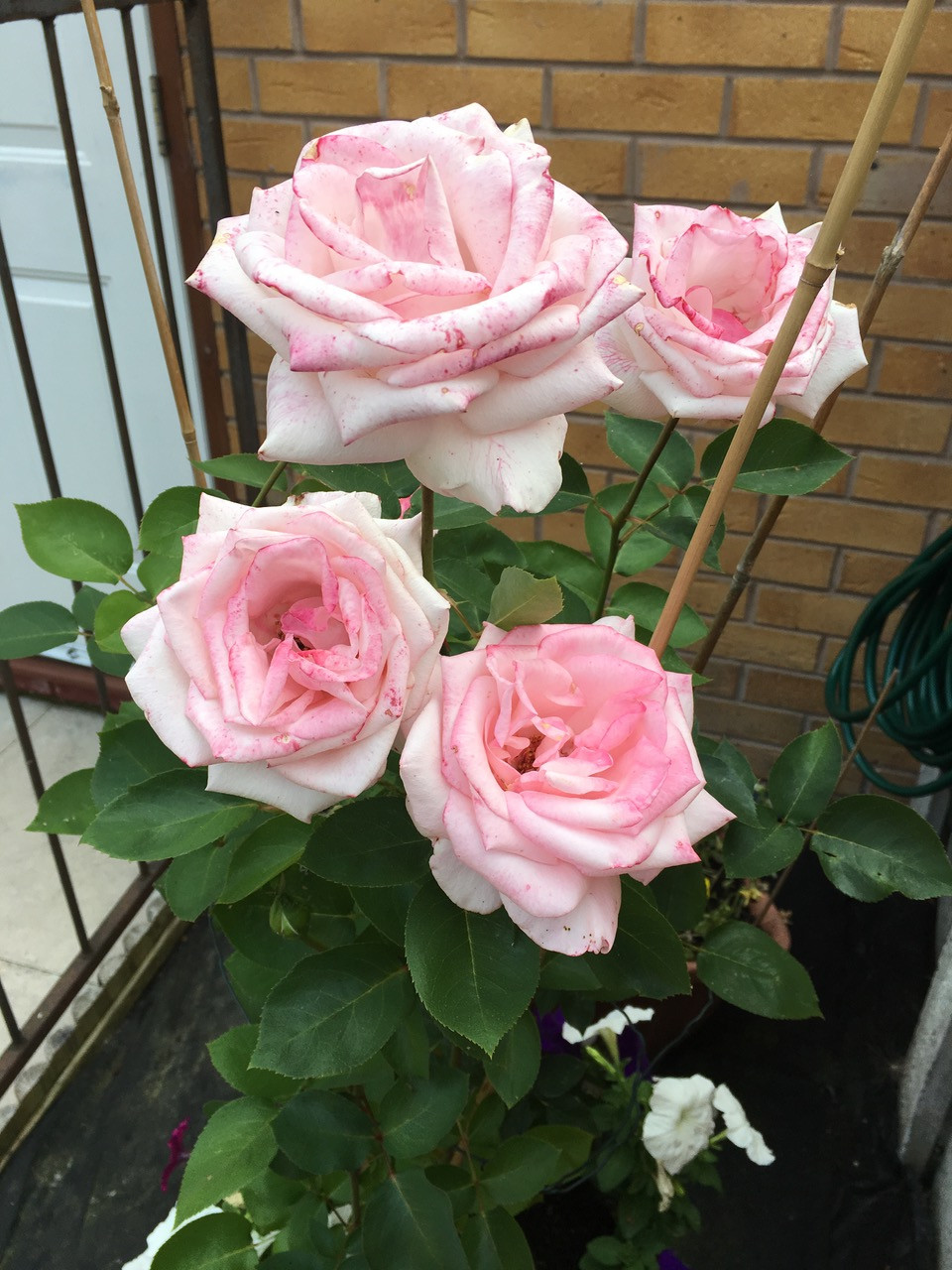 Fwd: N Joseph			
					</div><!-- .entry-content -->
		
		<footer>
		
		
		
					
					</footer><!-- .entry-meta -->
	</article><!-- #post -->
				
											
				
		
<hr class=