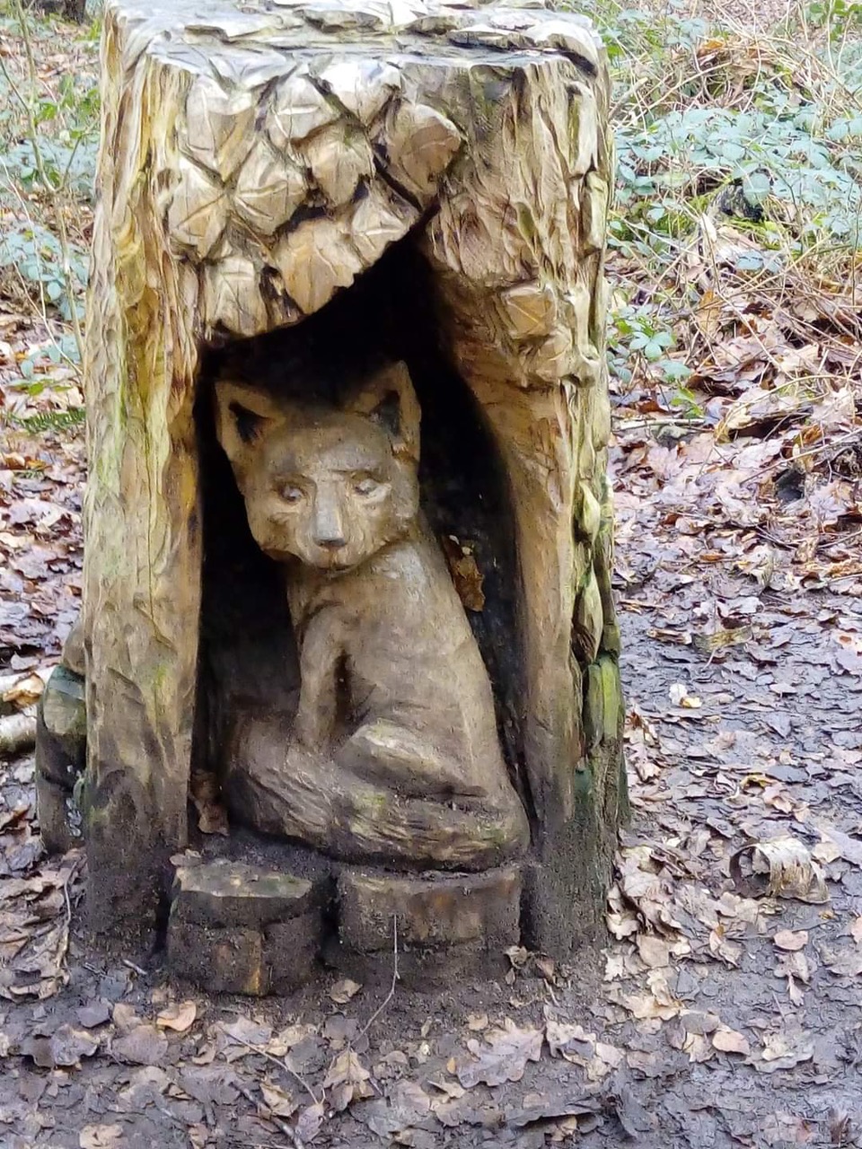 Fwd: Sarah Bark…wickersley woods			
					</div><!-- .entry-content -->
		
		<footer>
		
		
		
					
					</footer><!-- .entry-meta -->
	</article><!-- #post -->
				
											
				
		
<hr class=