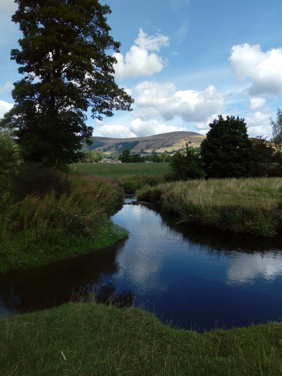 Fwd: Hope Valley by Vee Jay			
					</div><!-- .entry-content -->
		
		<footer>
		
		
		
					
					</footer><!-- .entry-meta -->
	</article><!-- #post -->
				
											
				
		
<hr class=