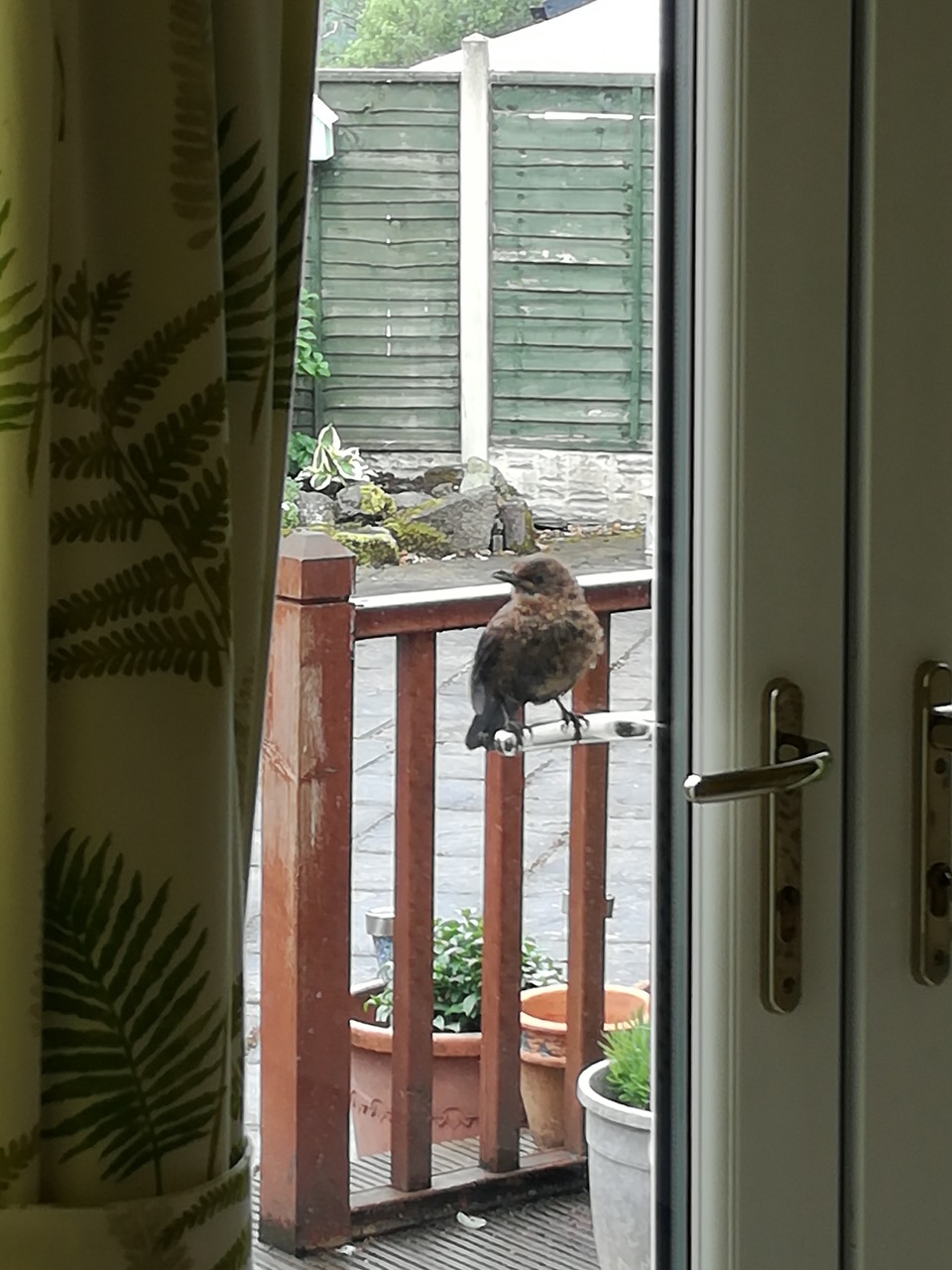 Fwd: CHEEKY BIRDS			
					</div><!-- .entry-content -->
		
		<footer>
		
		
		
					
					</footer><!-- .entry-meta -->
	</article><!-- #post -->
				
											
				
		
<hr class=