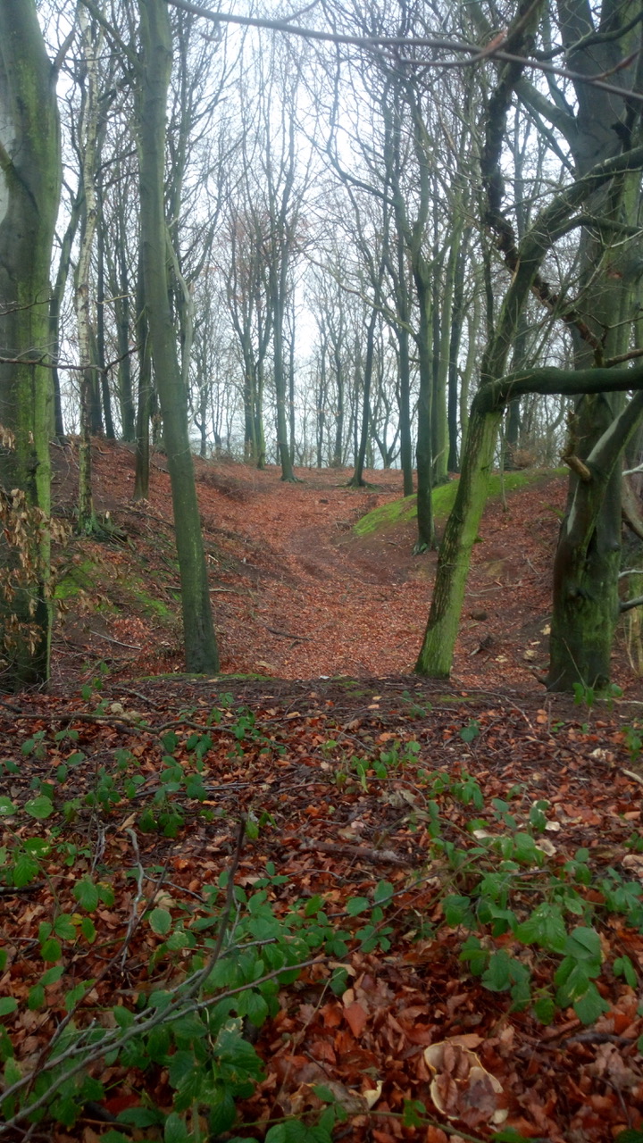 Fwd: Darren Bark … Hoober Stand wood			
					</div><!-- .entry-content -->
		
		<footer>
		
		
		
					
					</footer><!-- .entry-meta -->
	</article><!-- #post -->
				
											
				
		
<hr class=