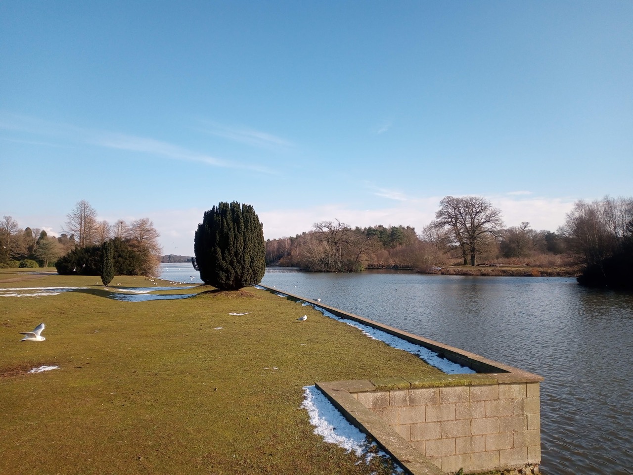 Fwd: Photograph by MFH, Clumber Park			
					</div><!-- .entry-content -->
		
		<footer>
		
		
		
					
					</footer><!-- .entry-meta -->
	</article><!-- #post -->
				
											
				
		
<hr class=