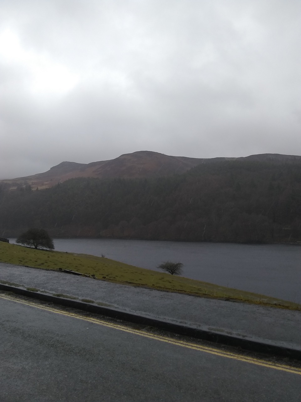 Fwd: Lady bower			
					</div><!-- .entry-content -->
		
		<footer>
		
		
		
					
					</footer><!-- .entry-meta -->
	</article><!-- #post -->
				
											
				
		
<hr class=