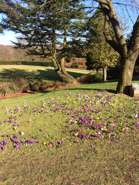 Fwd: Graves Park			
					</div><!-- .entry-content -->
		
		<footer>
		
		
		
					
					</footer><!-- .entry-meta -->
	</article><!-- #post -->
				
											
				
		
<hr class=