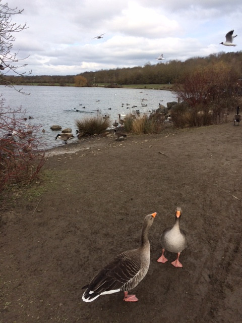 Fwd: Rother Valley			
					</div><!-- .entry-content -->
		
		<footer>
		
		
		
					
					</footer><!-- .entry-meta -->
	</article><!-- #post -->
				
											
				
		
<hr class=