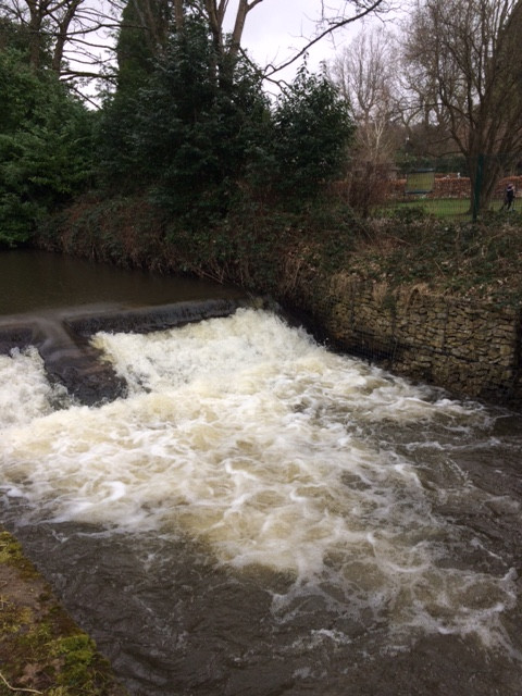 Fwd: Millhouses Park			
					</div><!-- .entry-content -->
		
		<footer>
		
		
		
					
					</footer><!-- .entry-meta -->
	</article><!-- #post -->
				
											
				
		
<hr class=