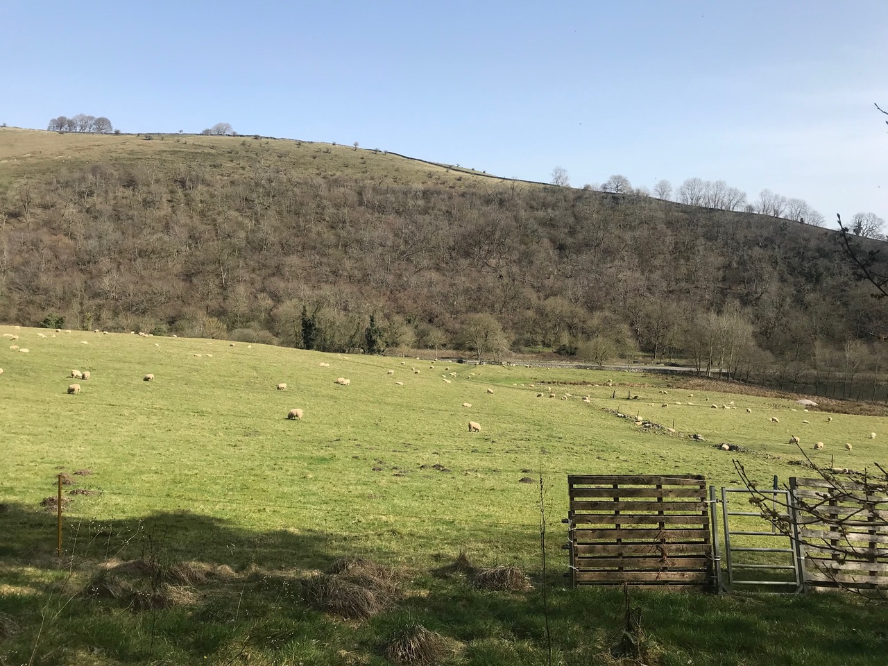 Fwd: Peak District			
					</div><!-- .entry-content -->
		
		<footer>
		
		
		
					
					</footer><!-- .entry-meta -->
	</article><!-- #post -->
				
											
				
		
<hr class=