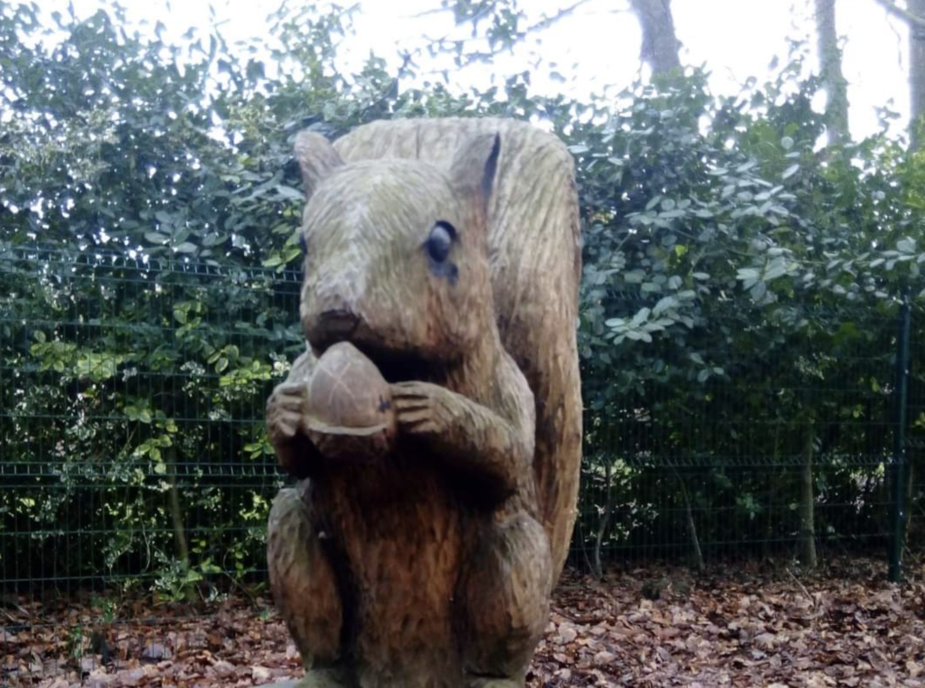 Fwd: Sarah Bark.. Wickersley woods			
					</div><!-- .entry-content -->
		
		<footer>
		
		
		
					
					</footer><!-- .entry-meta -->
	</article><!-- #post -->
				
											
				
		
<hr class=