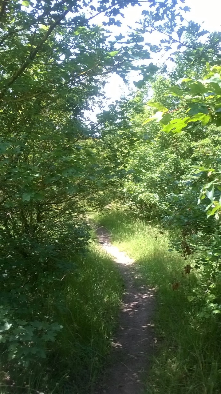 Fwd: [SPAM] by Sarah Bark Dinnington woodland			
					</div><!-- .entry-content -->
		
		<footer>
		
		
		
					
					</footer><!-- .entry-meta -->
	</article><!-- #post -->
				
											
				
		
<hr class=