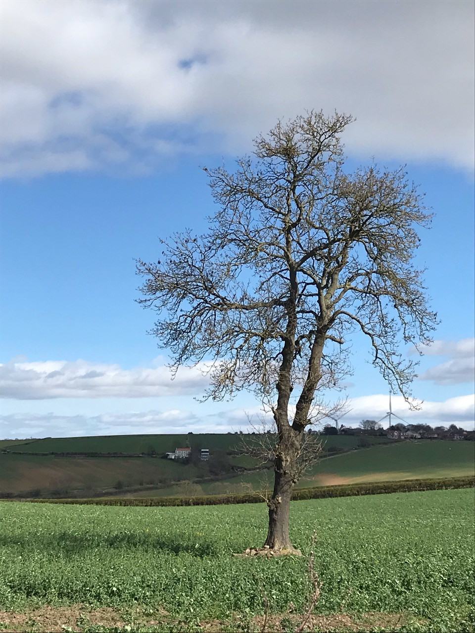 Fwd: Pleasant view Treeton Lane Aughton by Val Unwin			
					</div><!-- .entry-content -->
		
		<footer>
		
		
		
					
					</footer><!-- .entry-meta -->
	</article><!-- #post -->
				
											
				
		
<hr class=