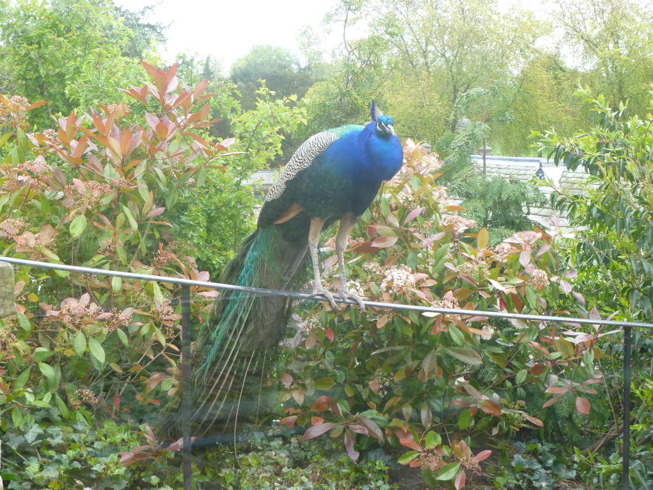 Fwd: Photo			
					</div><!-- .entry-content -->
		
		<footer>
		
		
		
					
					</footer><!-- .entry-meta -->
	</article><!-- #post -->
				
											
				
		
<hr class=