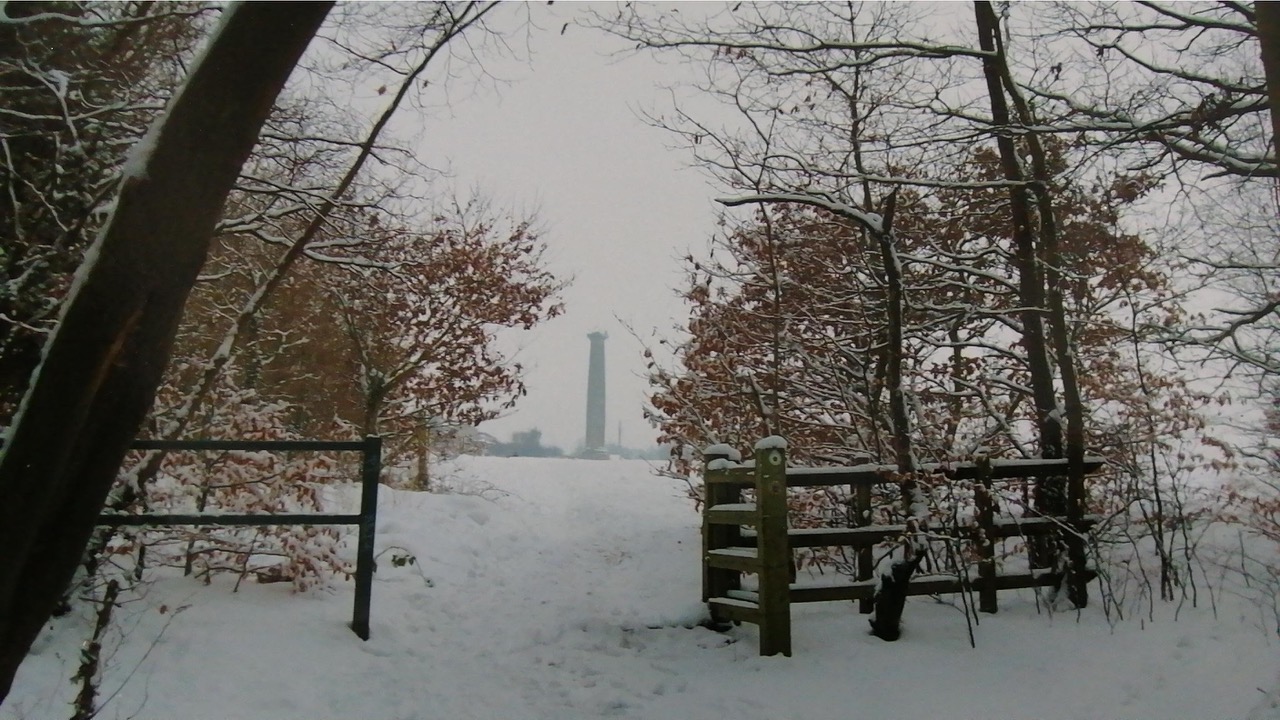 Fwd: Keppels Column from Scholes Wood			
					</div><!-- .entry-content -->
		
		<footer>
		
		
		
					
					</footer><!-- .entry-meta -->
	</article><!-- #post -->
				
											
				
		
<hr class=