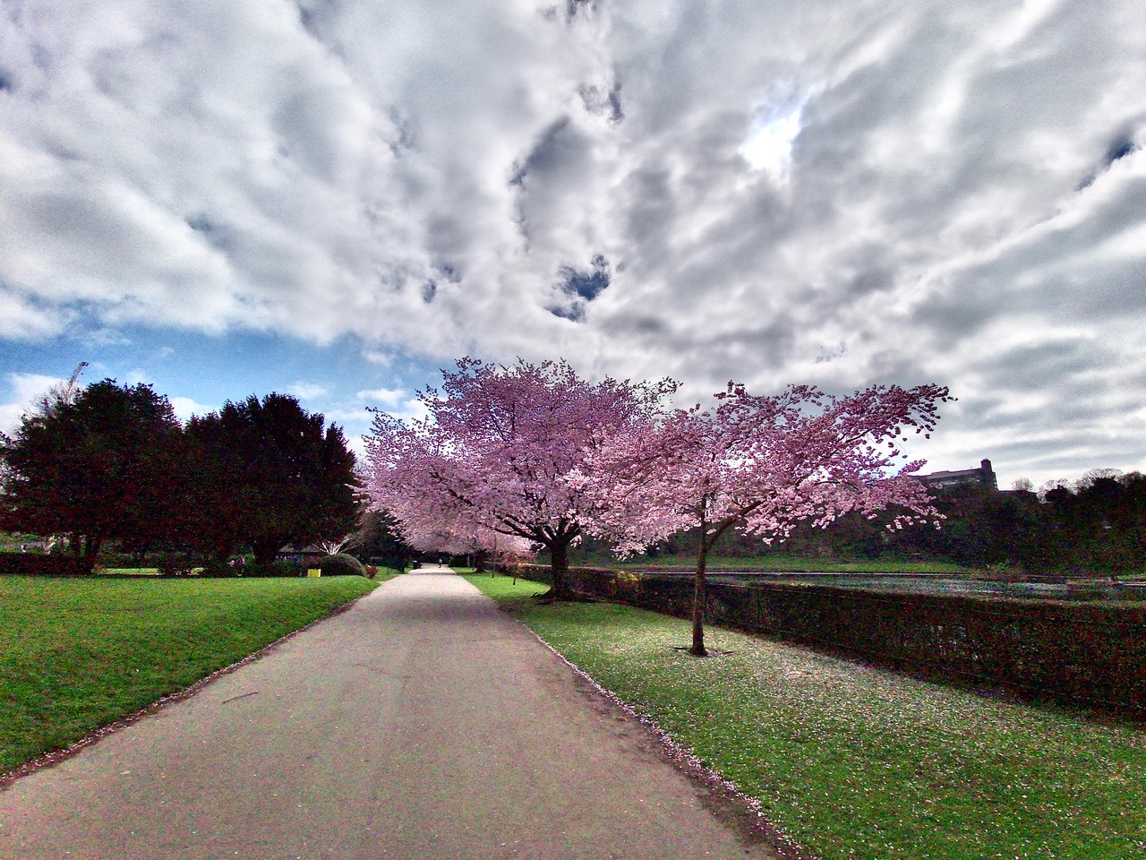 Fwd: Crookes Valley Park. Keith Bown			
					</div><!-- .entry-content -->
		
		<footer>
		
		
		
					
					</footer><!-- .entry-meta -->
	</article><!-- #post -->
				
											
				
		
<hr class=