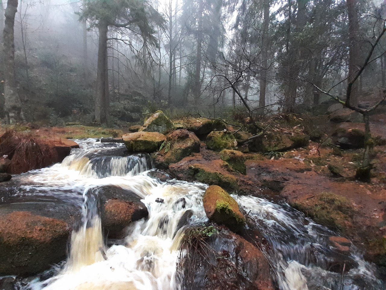 Fwd: Wyming Brook by Gullface London			
					</div><!-- .entry-content -->
		
		<footer>
		
		
		
					
					</footer><!-- .entry-meta -->
	</article><!-- #post -->
				
											
				
		
<hr class=