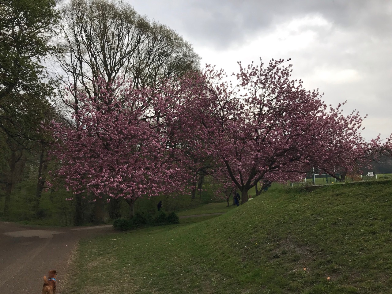 Fwd: Photograph by N  Joseph			
					</div><!-- .entry-content -->
		
		<footer>
		
		
		
					
					</footer><!-- .entry-meta -->
	</article><!-- #post -->
				
											
				
		
<hr class=