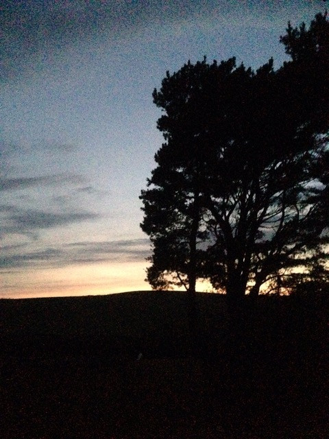Fwd: Evening by Val Unwin			
					</div><!-- .entry-content -->
		
		<footer>
		
		
		
					
					</footer><!-- .entry-meta -->
	</article><!-- #post -->
				
											
				
		
<hr class=