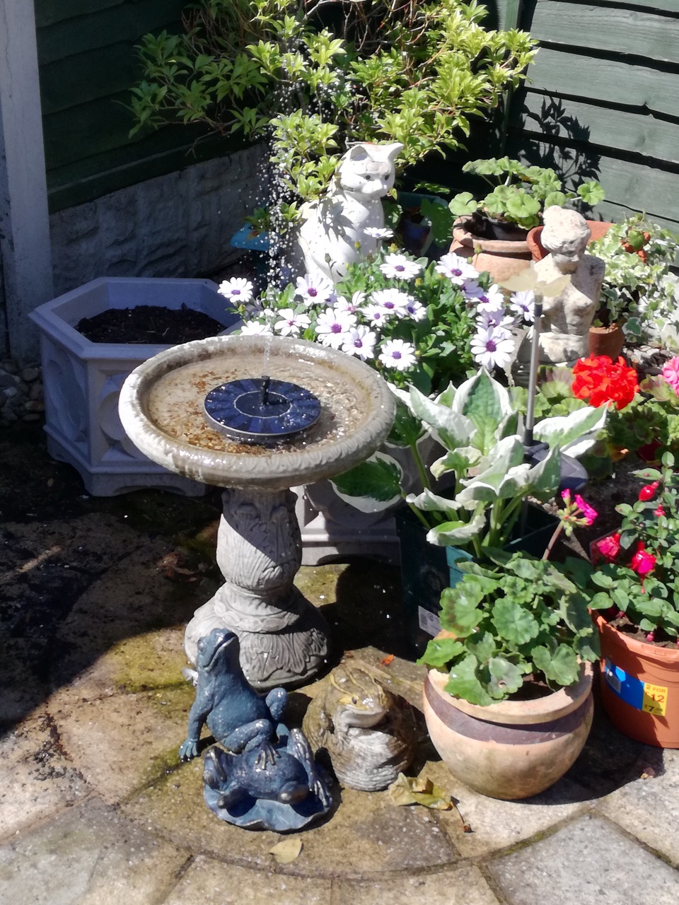 Fwd: Enjoying the sun. :-)			
					</div><!-- .entry-content -->
		
		<footer>
		
		
		
					
					</footer><!-- .entry-meta -->
	</article><!-- #post -->
				
											
				
		
<hr class=