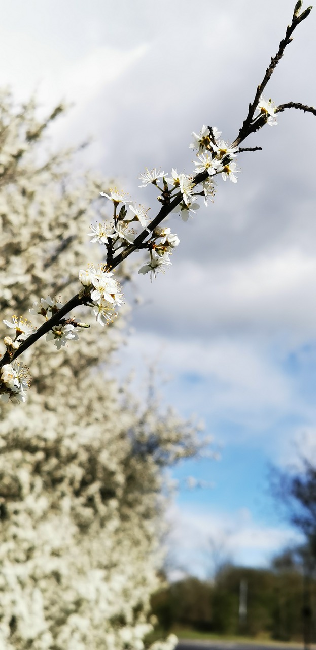 Fwd: Spring			
					</div><!-- .entry-content -->
		
		<footer>
		
		
		
					
					</footer><!-- .entry-meta -->
	</article><!-- #post -->
				
											
				
		
<hr class=