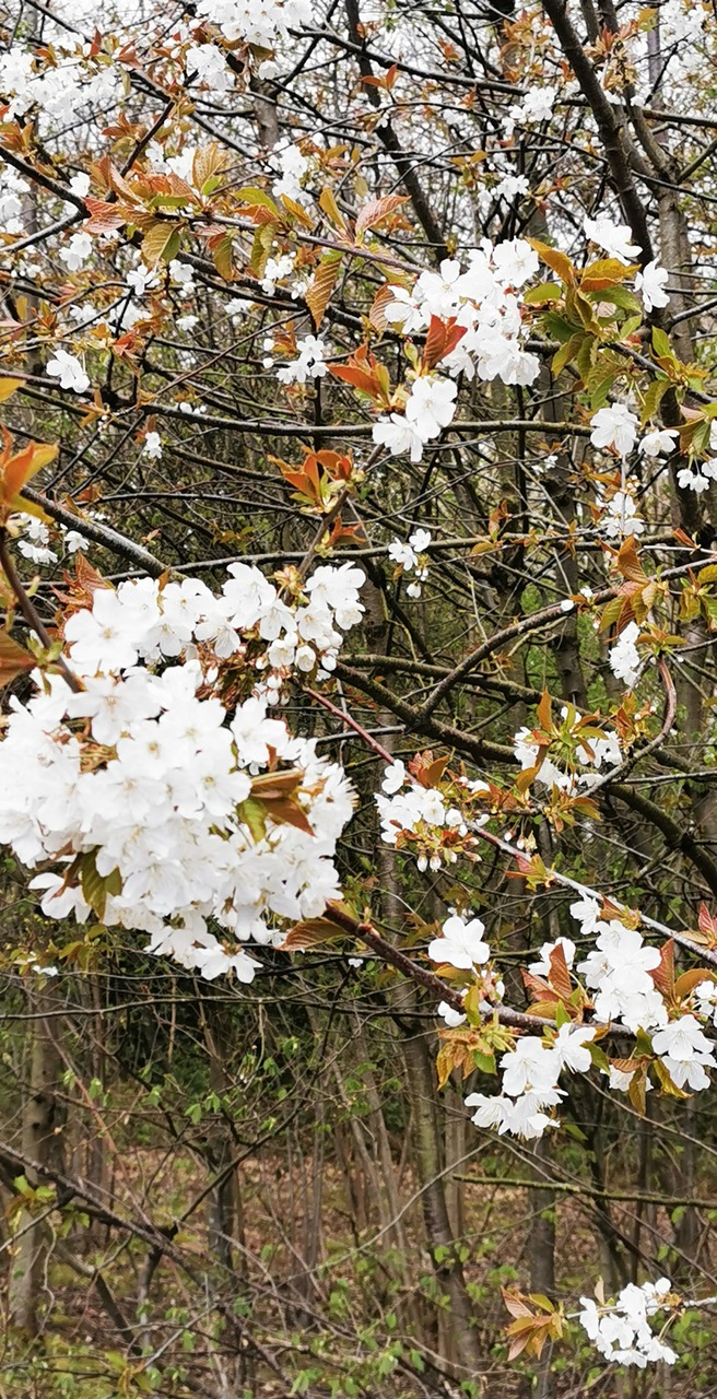 Fwd: Spring			
					</div><!-- .entry-content -->
		
		<footer>
		
		
		
					
					</footer><!-- .entry-meta -->
	</article><!-- #post -->
				
											
				
		
<hr class=