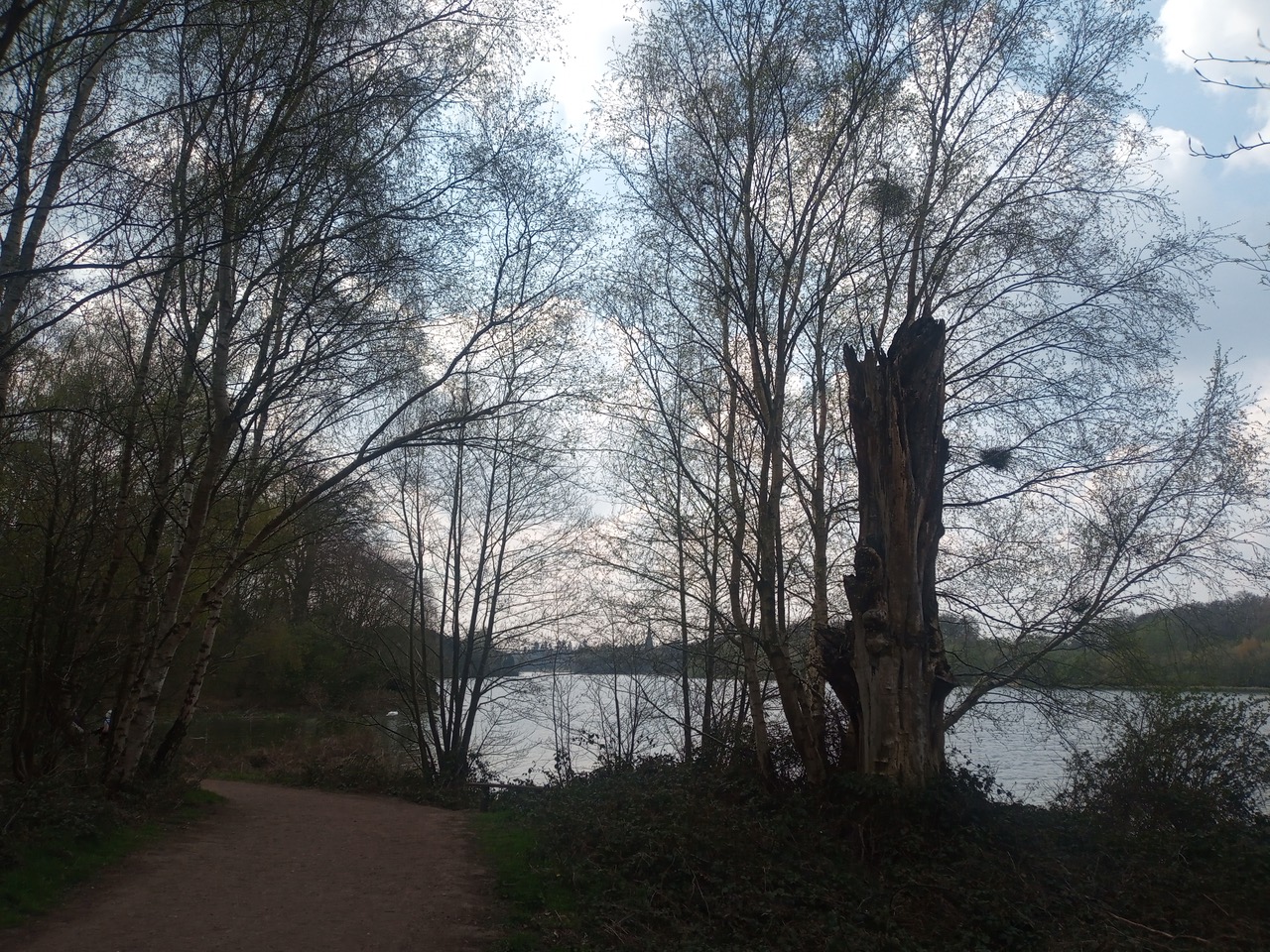 Fwd: Photograph by MFH, Clumber Park			
					</div><!-- .entry-content -->
		
		<footer>
		
		
		
					
					</footer><!-- .entry-meta -->
	</article><!-- #post -->
				
											
				
		
<hr class=