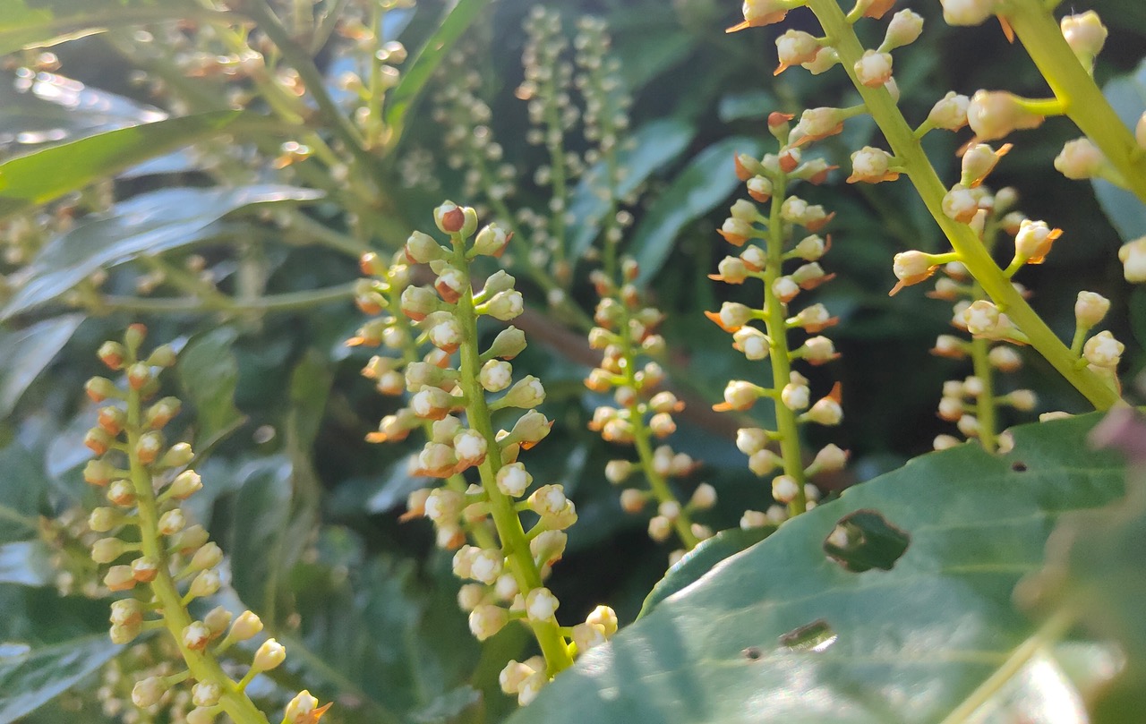Fwd: Spring			
					</div><!-- .entry-content -->
		
		<footer>
		
		
		
					
					</footer><!-- .entry-meta -->
	</article><!-- #post -->
				
											
				
		
<hr class=