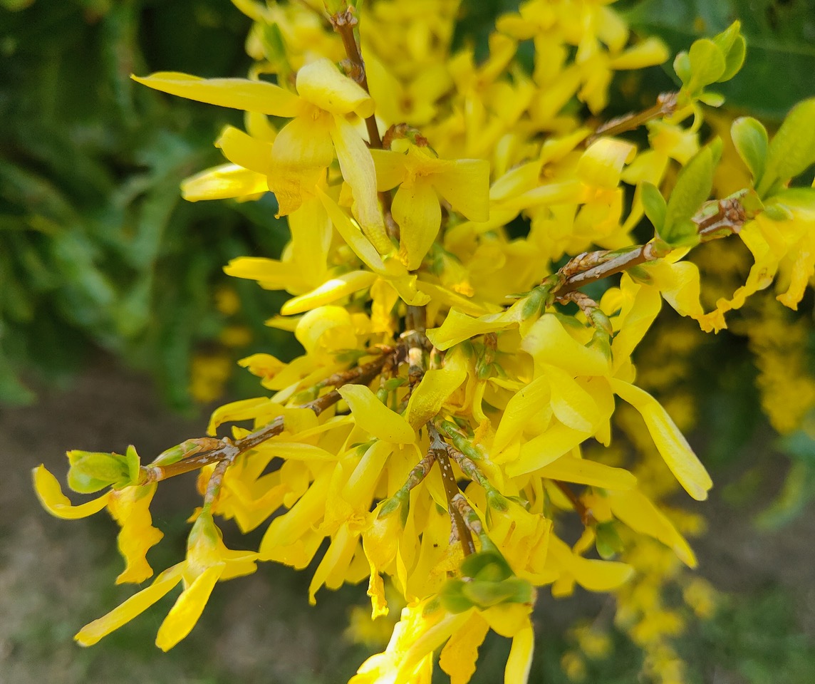 Fwd: Spring			
					</div><!-- .entry-content -->
		
		<footer>
		
		
		
					
					</footer><!-- .entry-meta -->
	</article><!-- #post -->
				
											
				
		
<hr class=