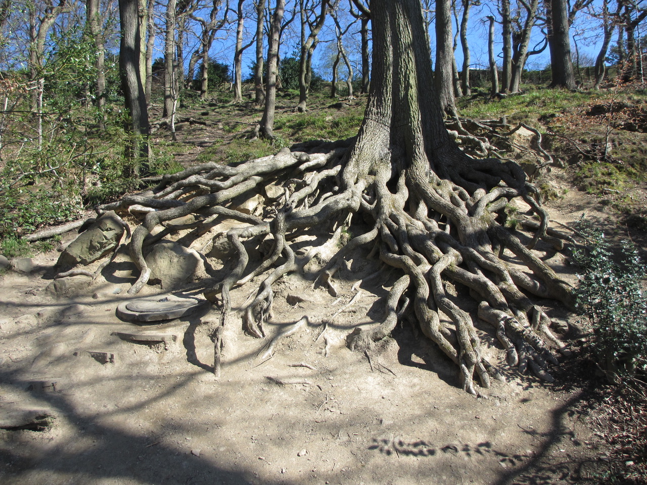 Fwd: Endcliffe park			
					</div><!-- .entry-content -->
		
		<footer>
		
		
		
					
					</footer><!-- .entry-meta -->
	</article><!-- #post -->
				
											
				
		
<hr class=