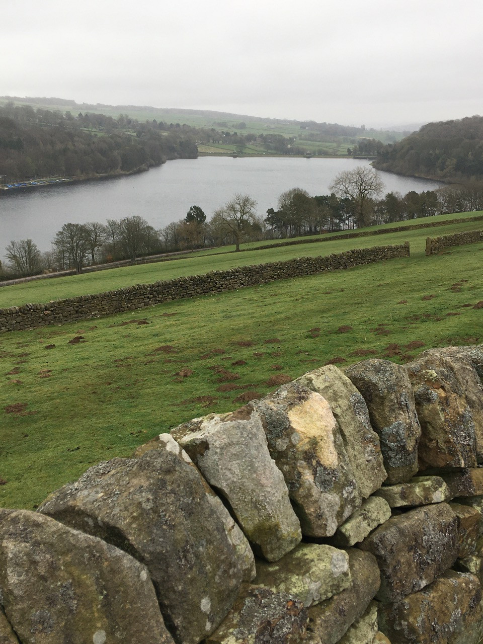 Fwd: Pictures around Strines & Bradfield			
					</div><!-- .entry-content -->
		
		<footer>
		
		
		
					
					</footer><!-- .entry-meta -->
	</article><!-- #post -->
				
											
				
		
<hr class=