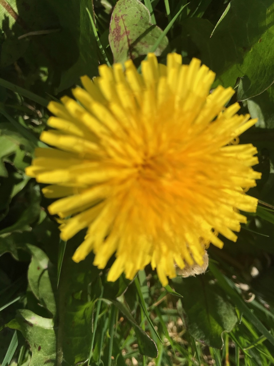 Fwd: Spring sunshine by Kate Hague			
					</div><!-- .entry-content -->
		
		<footer>
		
		
		
					
					</footer><!-- .entry-meta -->
	</article><!-- #post -->
				
											
				
		
<hr class=