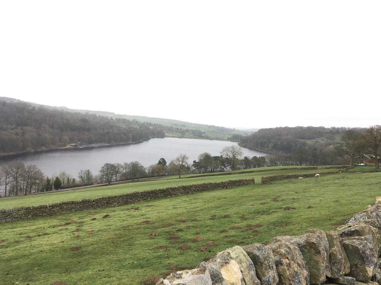Fwd: Pictures around Strines & Bradfield			
					</div><!-- .entry-content -->
		
		<footer>
		
		
		
					
					</footer><!-- .entry-meta -->
	</article><!-- #post -->
				
											
				
		
<hr class=