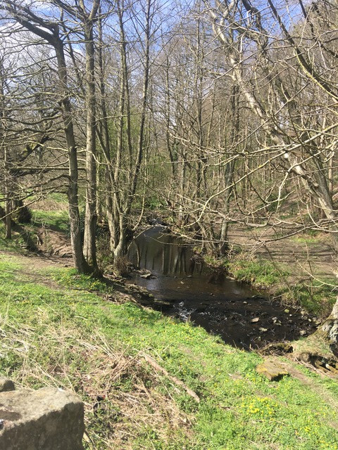 Fwd: Pix of Bradfield towards Haychatters & Blindside Lane			
					</div><!-- .entry-content -->
		
		<footer>
		
		
		
					
					</footer><!-- .entry-meta -->
	</article><!-- #post -->
				
											
				
		
<hr class=