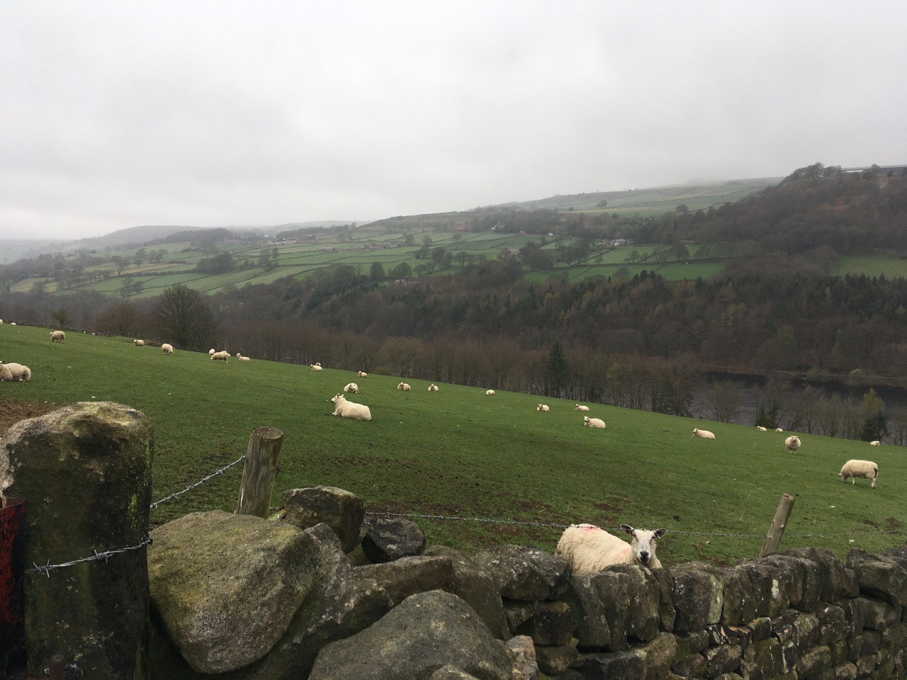 Fwd: Pictures around Strines & Bradfield			
					</div><!-- .entry-content -->
		
		<footer>
		
		
		
					
					</footer><!-- .entry-meta -->
	</article><!-- #post -->
				
											
				
		
<hr class=