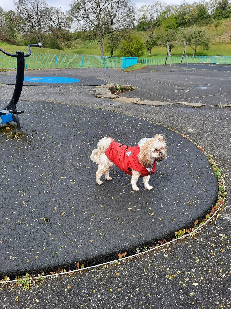 Fwd: In me coat Longley Park by Kevin Lees			
					</div><!-- .entry-content -->
		
		<footer>
		
		
		
					
					</footer><!-- .entry-meta -->
	</article><!-- #post -->
				
											
				
		
<hr class=