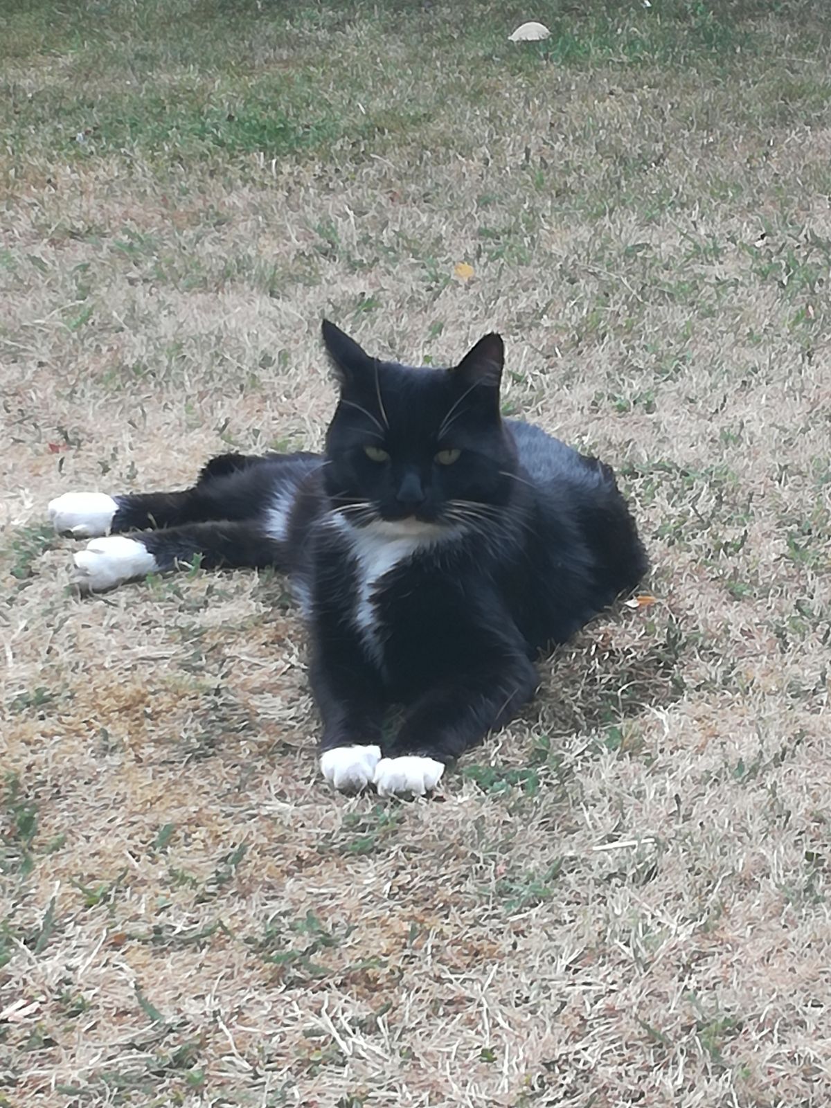 Fwd: Janice and Mo – Alfie of Charnock			
					</div><!-- .entry-content -->
		
		<footer>
		
		
		
					
					</footer><!-- .entry-meta -->
	</article><!-- #post -->
				
											
				
		
<hr class=