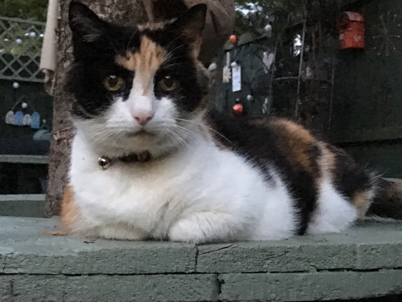 Fwd: Sasha			
					</div><!-- .entry-content -->
		
		<footer>
		
		
		
					
					</footer><!-- .entry-meta -->
	</article><!-- #post -->
				
											
				
		
<hr class=
