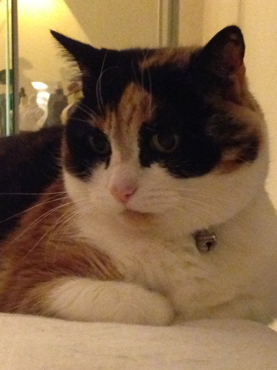 Fwd: Sasha			
					</div><!-- .entry-content -->
		
		<footer>
		
		
		
					
					</footer><!-- .entry-meta -->
	</article><!-- #post -->
				
											
				
		
<hr class=