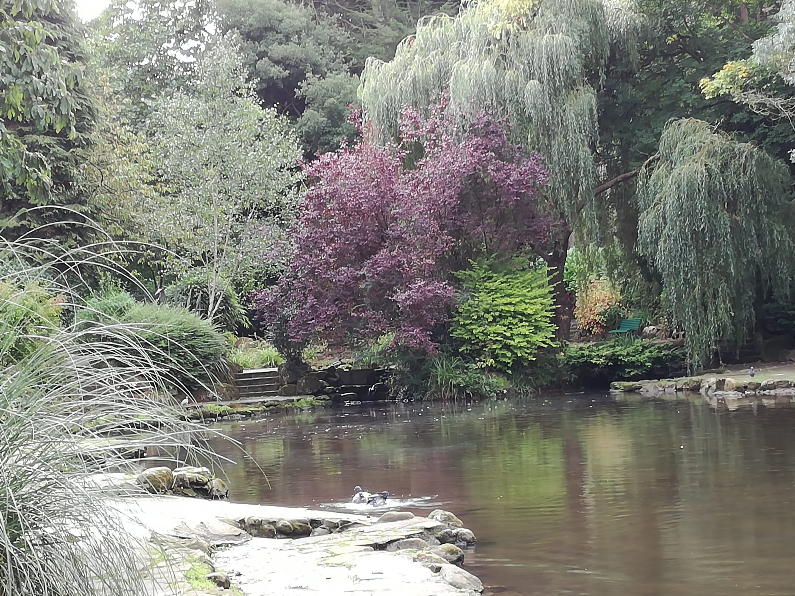 Fwd: Relaxing Scene			
					</div><!-- .entry-content -->
		
		<footer>
		
		
		
					
					</footer><!-- .entry-meta -->
	</article><!-- #post -->
				
											
				
		
<hr class=
