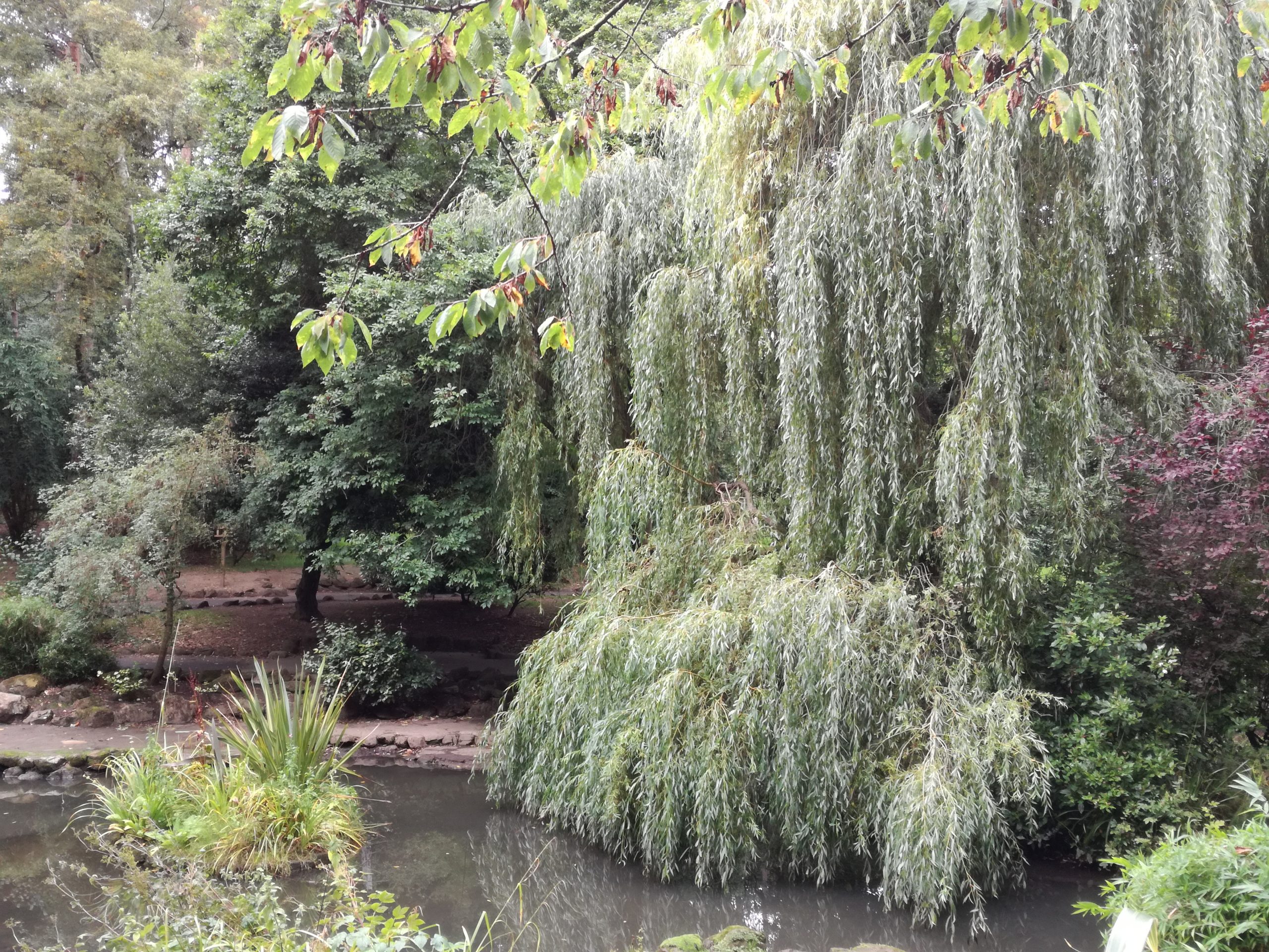 Fwd: Beautiful trees			
					</div><!-- .entry-content -->
		
		<footer>
		
		
		
					
					</footer><!-- .entry-meta -->
	</article><!-- #post -->
				
											
				
		
<hr class=