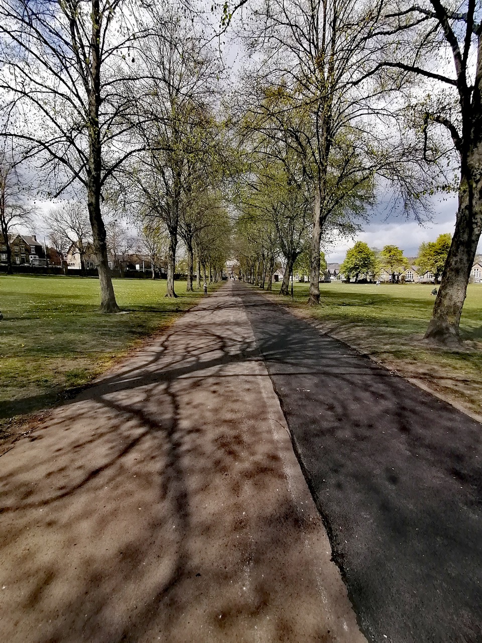 Fwd: By vee Jay and barb			
					</div><!-- .entry-content -->
		
		<footer>
		
		
		
					
					</footer><!-- .entry-meta -->
	</article><!-- #post -->
				
											
				
		
<hr class=